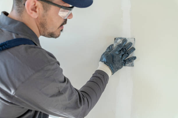 Best Drywall Sanding and Smoothing  in Rancho Alegre, TX